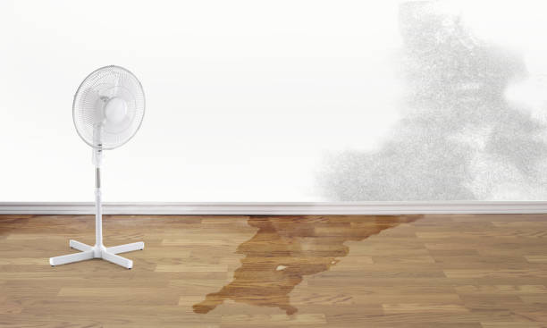 Best Commercial water damage restoration  in Mountain View Acres, CA