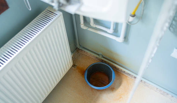Best Water damage contractors near me  in Mountain View Acres, CA
